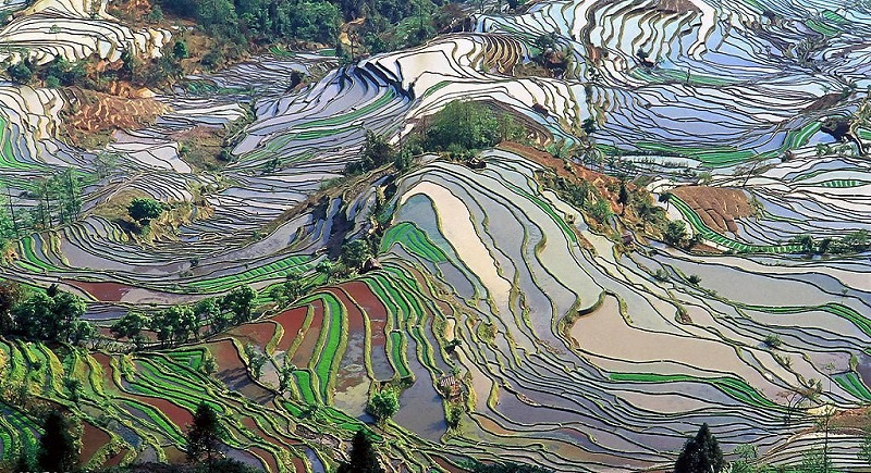 Longsheng Longji Rice Terraces Longsheng Longji Rice Terraces