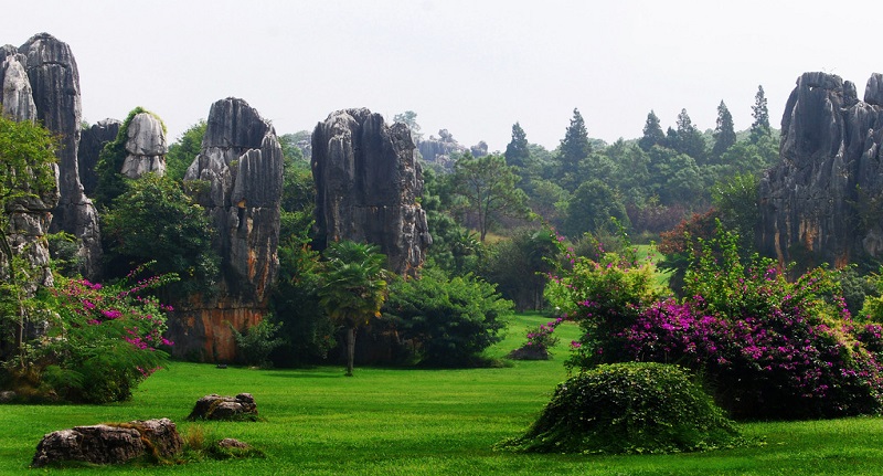 Stone forest