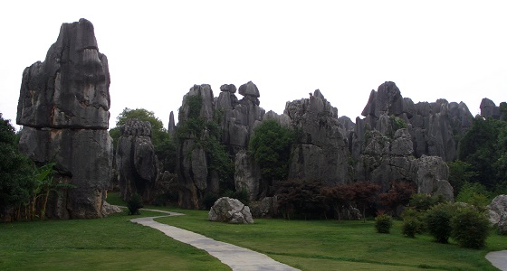 Stone forest