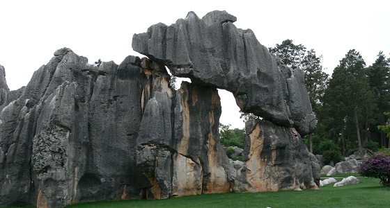 Stone forest