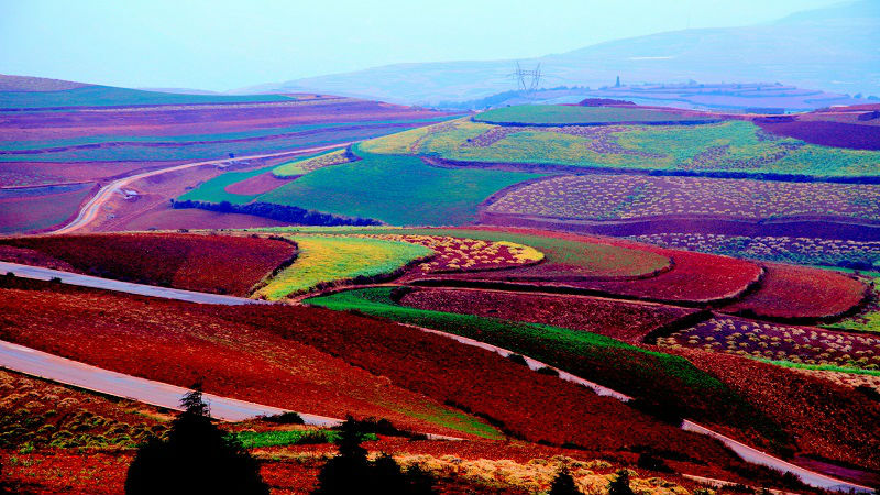 Dongchuan Red Land