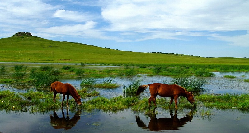 Kangxi grassland