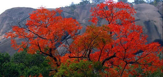 Mount Huang