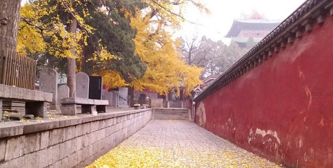 Shaolin Monastery