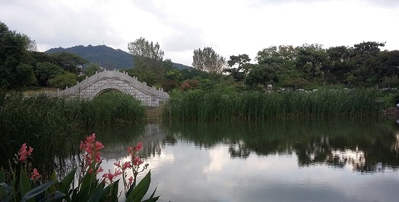 Xuanwu Lake.jpg