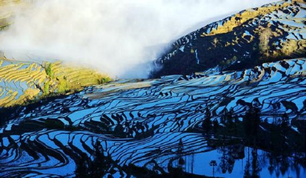 Yuanyang Rice Terraces