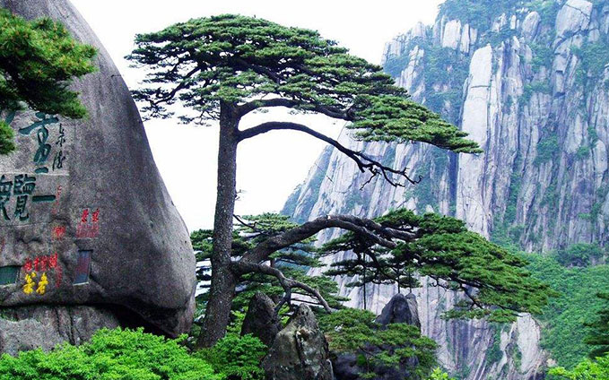 Anhui Huangshan Travel Guide